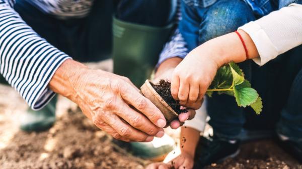gardening