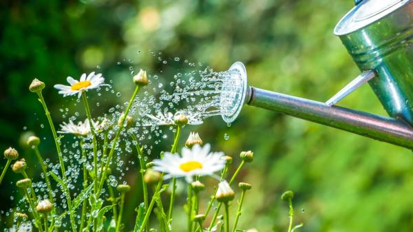 gardening