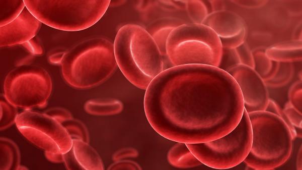 blood
